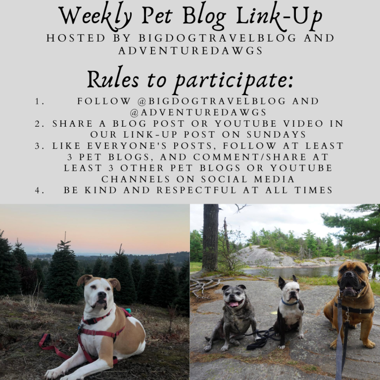 Weekly Pet Blog Link-up
